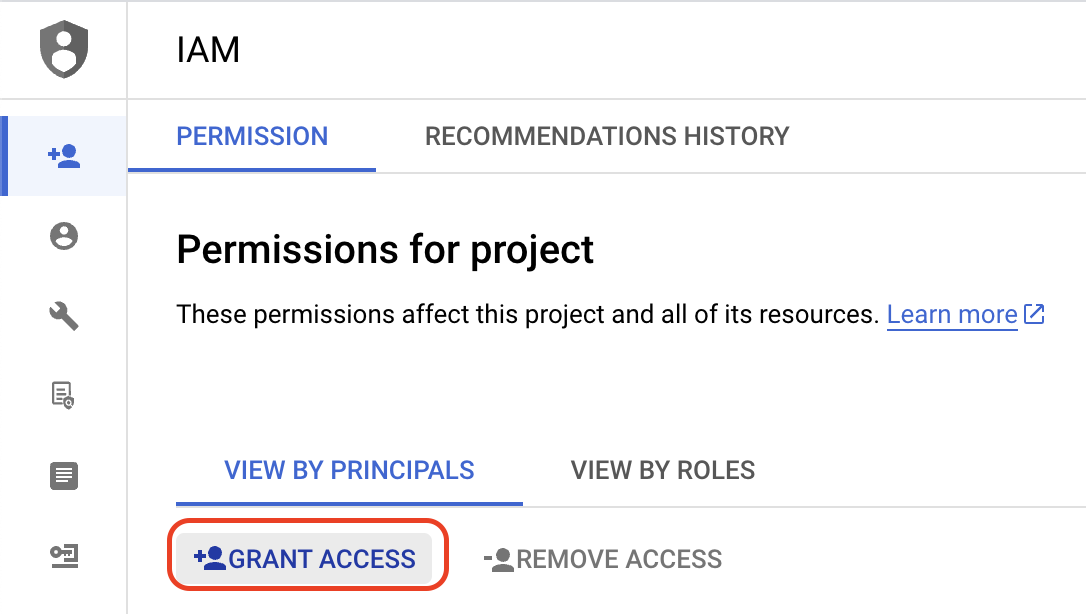 Click grant access button