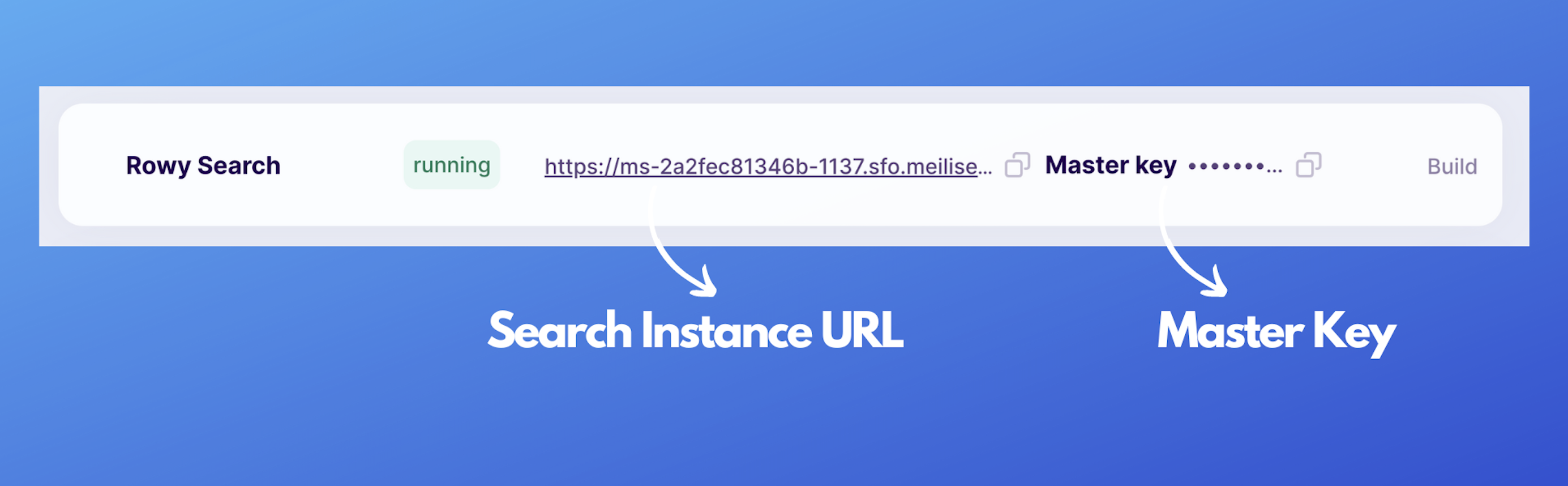 A screenshot showing the search instance URL and the master key.