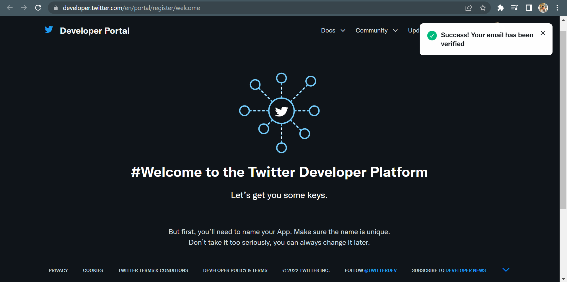 Twitter Developer Portal